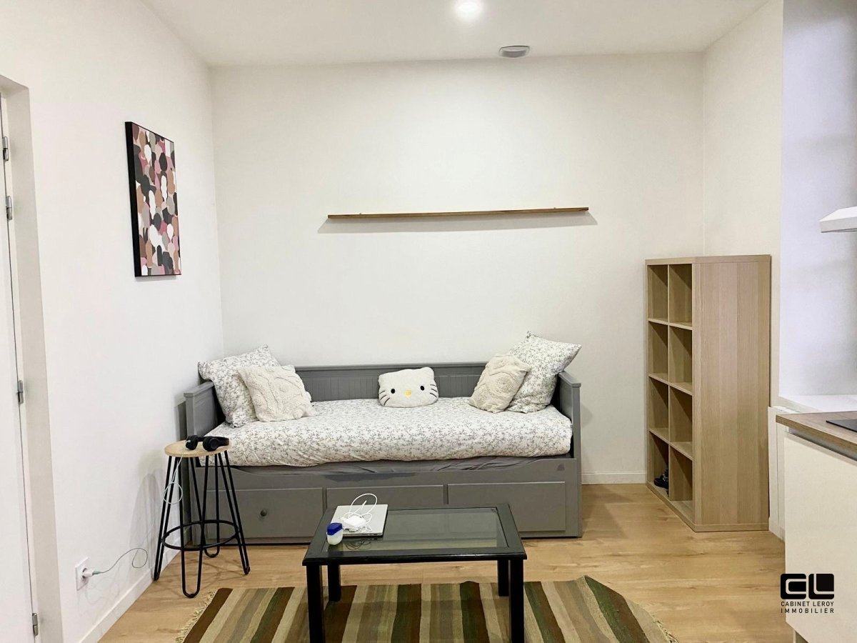 APPARTEMENT T1 A LOUER - LYON 9EME ARRONDISSEMENT - 19.12 m2 - 491�&euro; charges comprises par mois