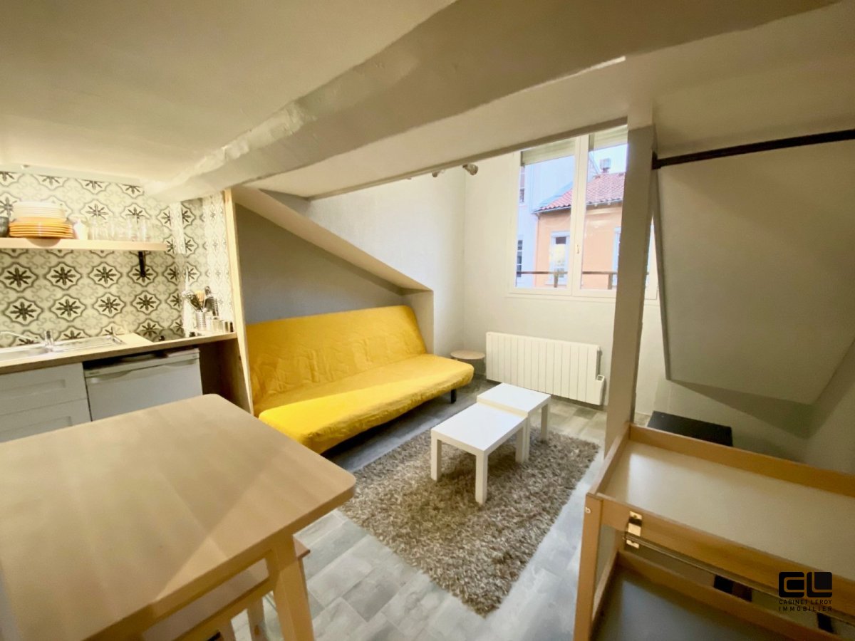 APPARTEMENT T1 A VENDRE - LYON 4EME ARRONDISSEMENT RUE DU MAIL - 22.95 m2 - 145000€
