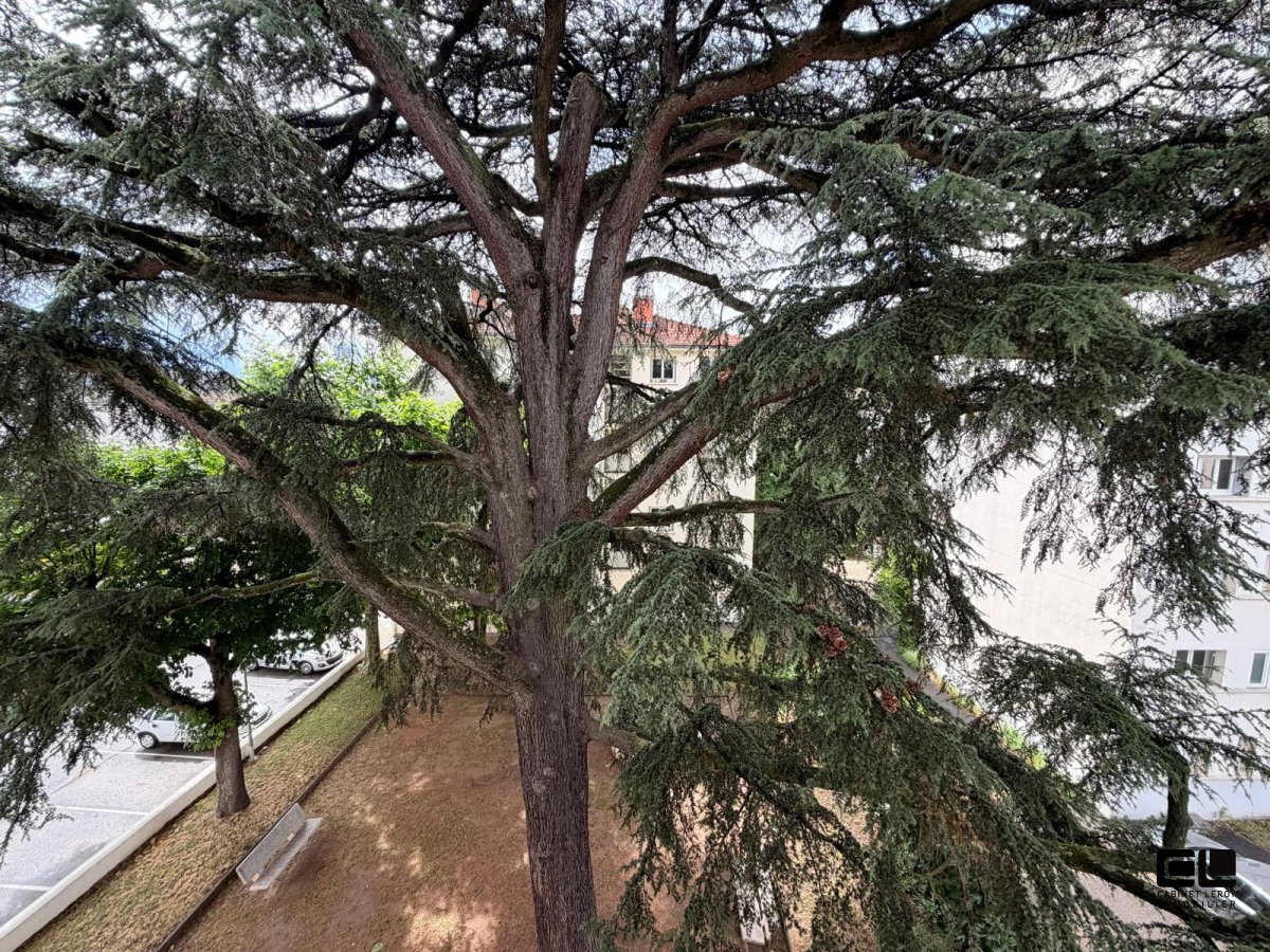 4 A VENDRE - LYON 4EME ARRONDISSEMENT entre le Lycée de Saint Expéry et l hopital de la Croix Rousse - 66 m2 - 297 000 &euro;