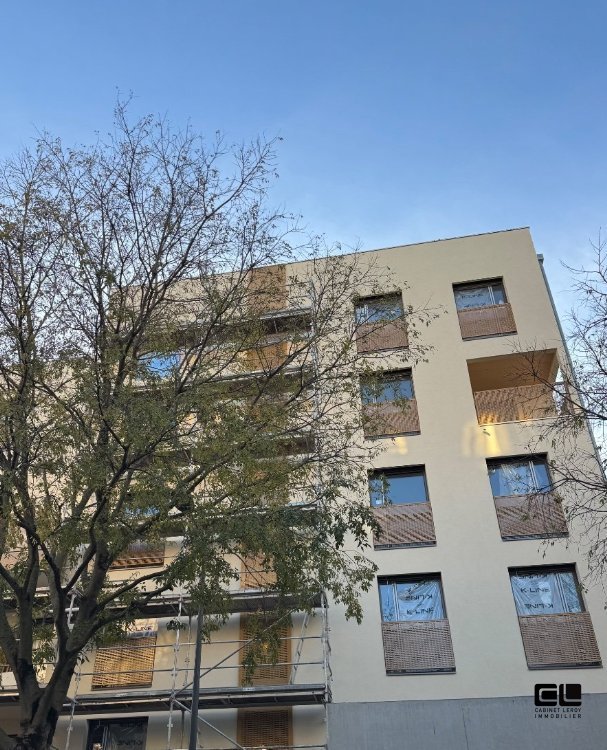 T3 au troisime tage avec vue sur rue au calme  Villeurbanne limite Montchat.